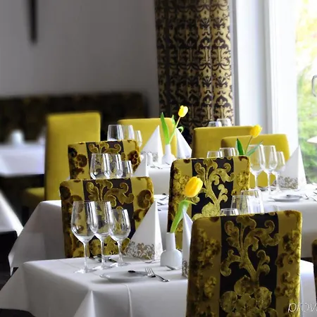 Ξενοδοχείο Hansa Ρέγκενσμπουργκ